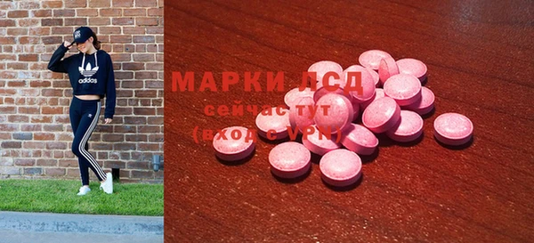 ГАЛЛЮЦИНОГЕННЫЕ ГРИБЫ Сосновка