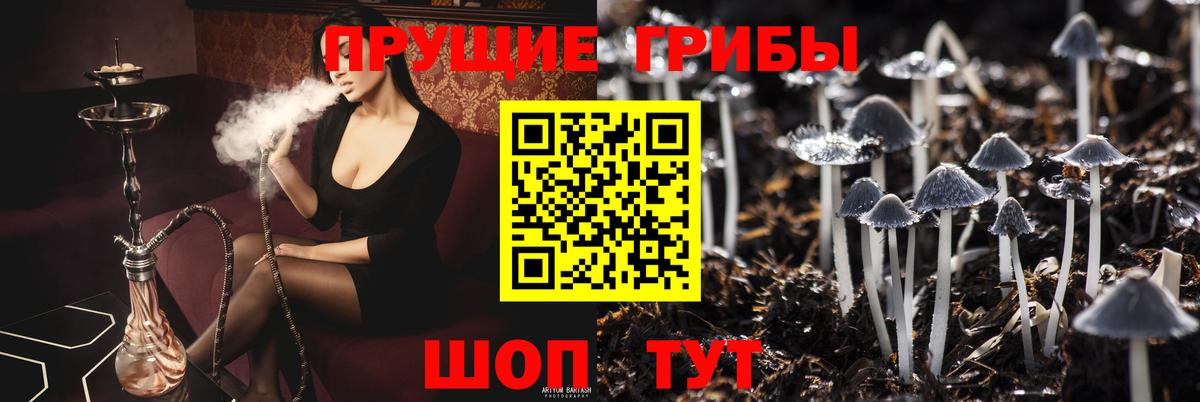 Галлюциногенные грибы GOLDEN TEACHER  Вход с VPN  Северобайкальск  Псилоцибиновые грибы мухоморы 